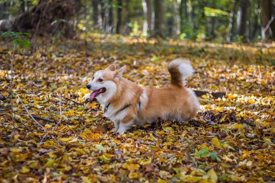 男が彼女と別れる決意をする 3つの瞬間 彼はいつ 別れたいと思うのか 小川健次ブログ Bigthink