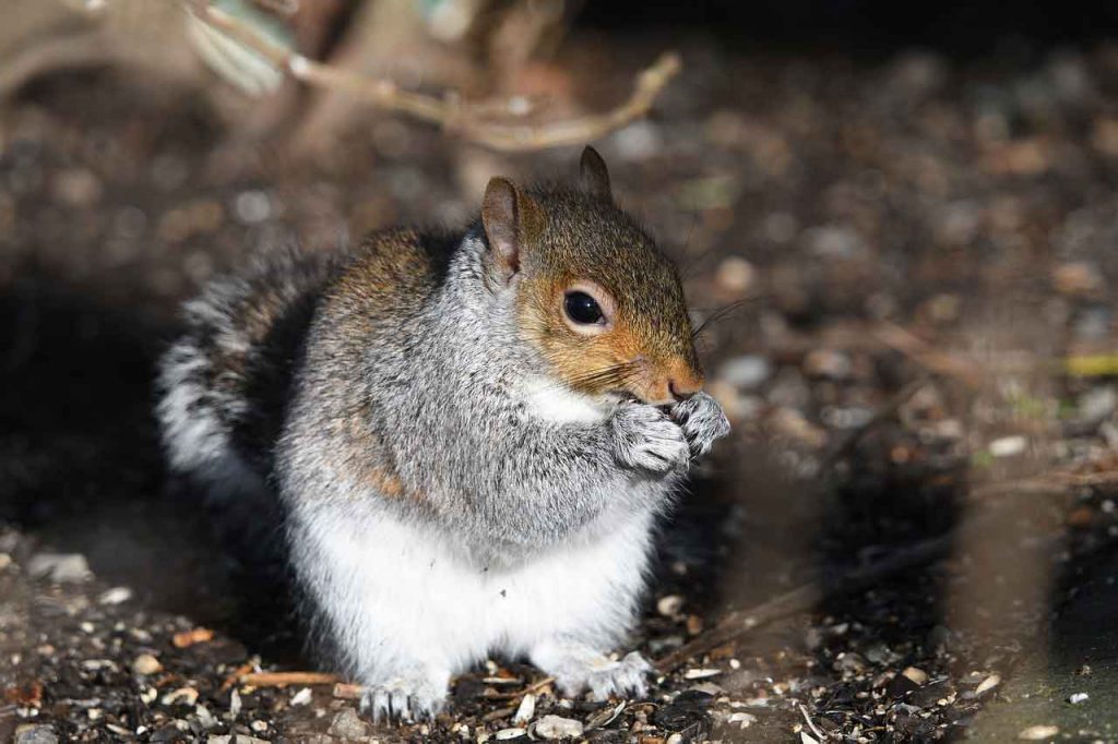 惚れた女に 男が見せる４つの態度 男性心理は 惚れたときにどうなるのか 小川健次ブログ Bigthink
