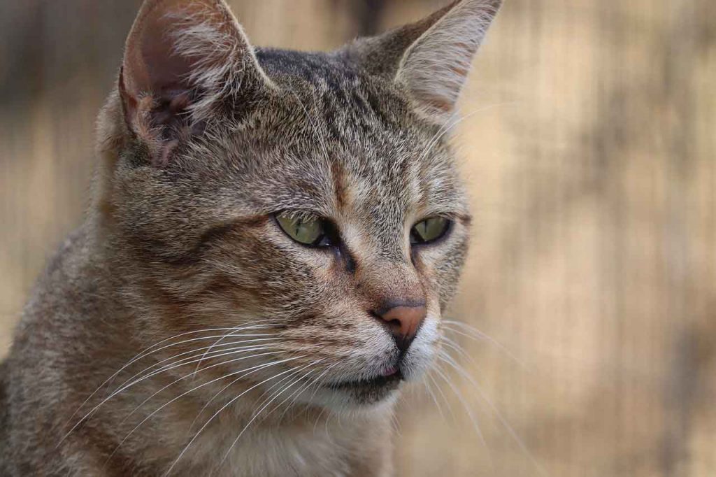 届かない思いを 届ける最善の方法 幸せを手に入れる人に 共通すること 小川健次ブログ Bigthink