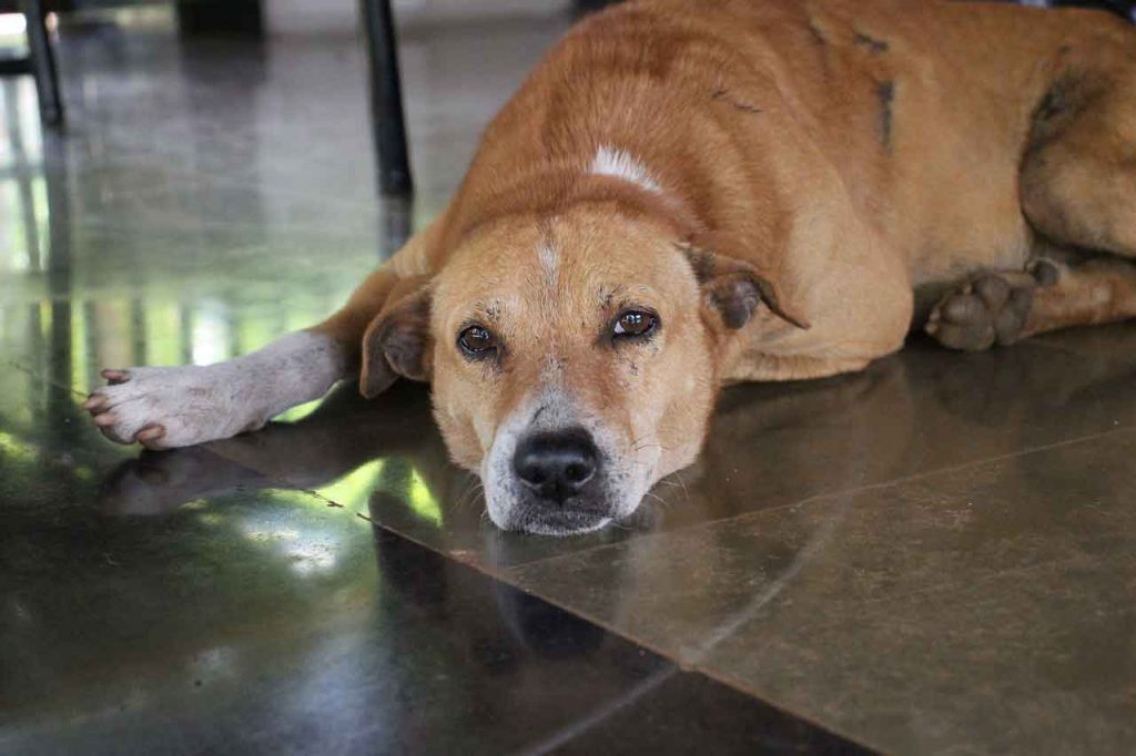 つらい別れには な意味がある 別れの意味を知るから 悲しみを乗り越えて幸せになれる 小川健次ブログ Bigthink