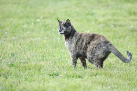 小川健次Blog