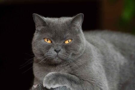 小川健次Blog